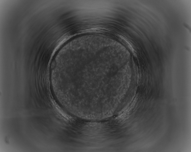 X0000097500800200803201551