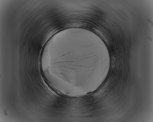 X0000097500802200803201551