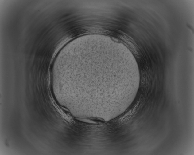 X0000097500804200803201551