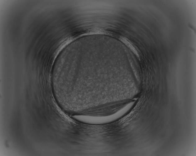 X0000097500805200803201551