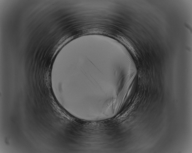 X0000097500806200803201551