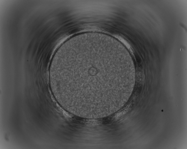 X0000097500807200803201551