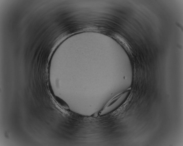 X0000097500808200803201551