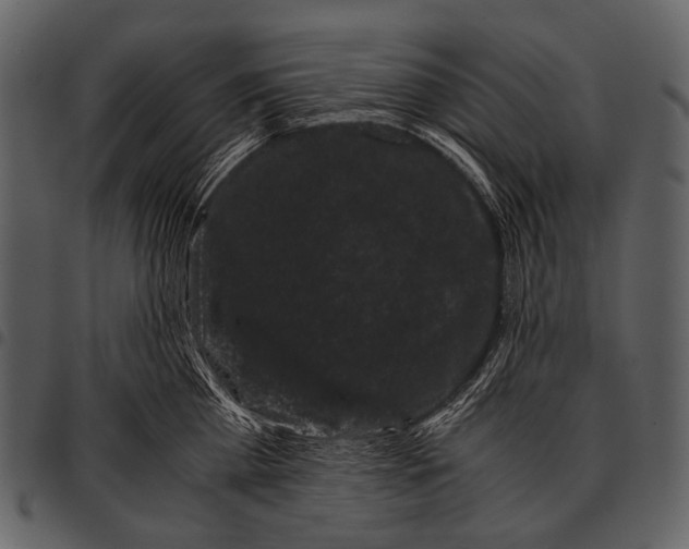X0000097500809200803201551