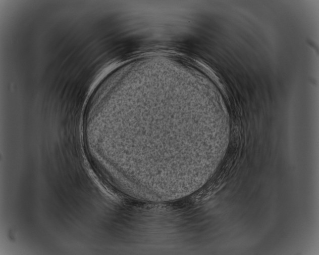X0000097500811200803201551