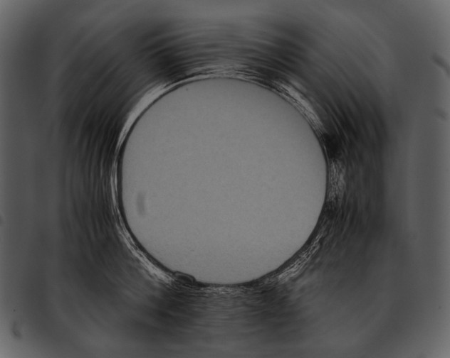 X0000097500812200803201551