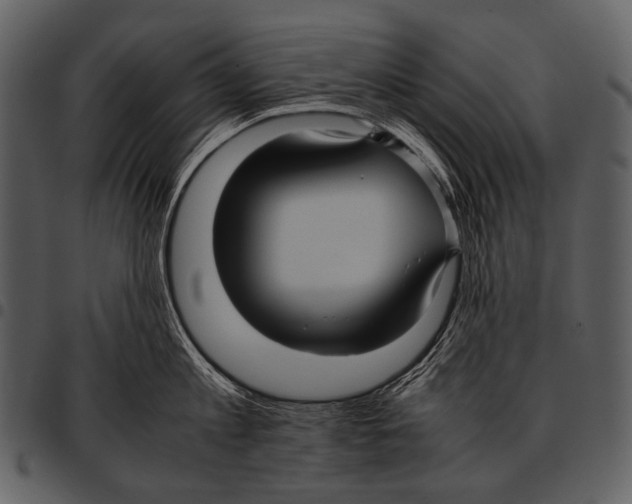X0000097500813200803201551