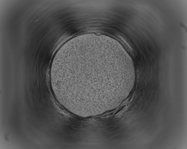X0000097500814200803201551