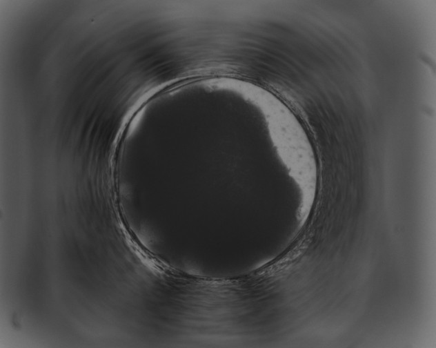 X0000097500816200803201551