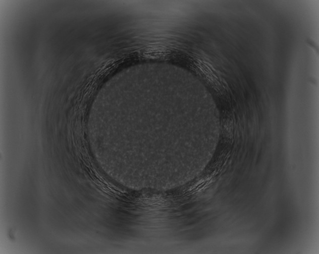 X0000097500817200803201550