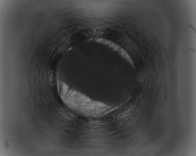 X0000097500818200803201550