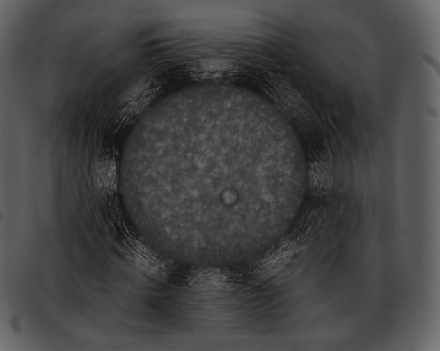 X0000097500820200803201550