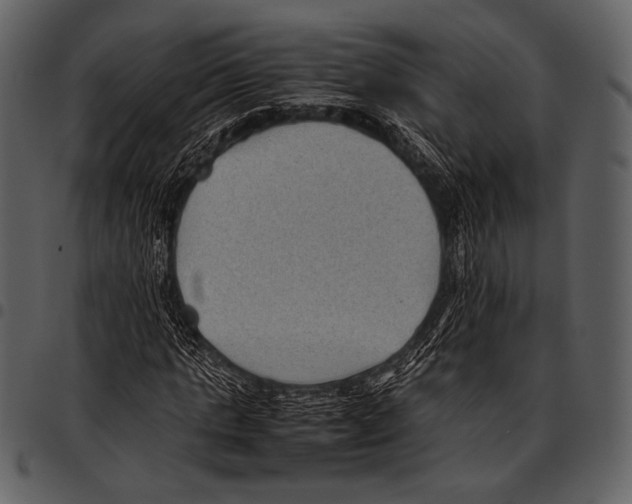 X0000097500821200803201550