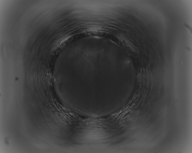 X0000097500822200803201550