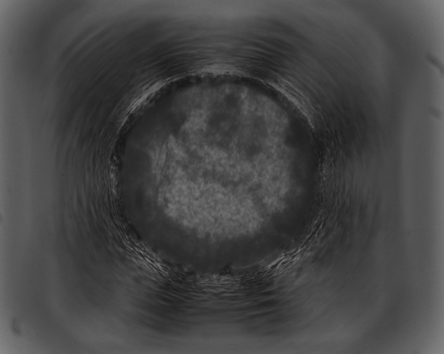 X0000097500823200803201550