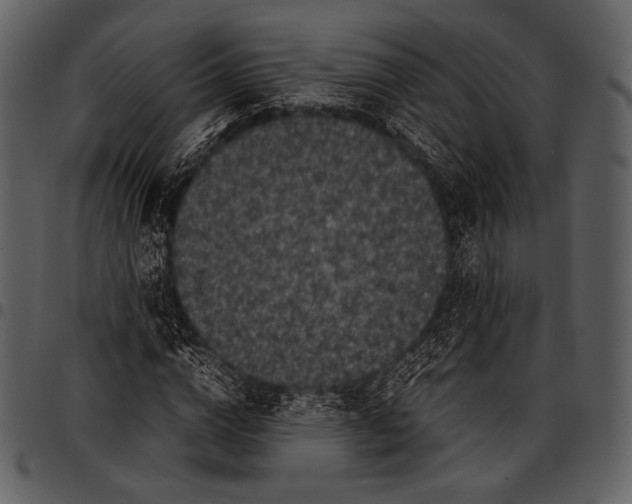 X0000097500824200803201550