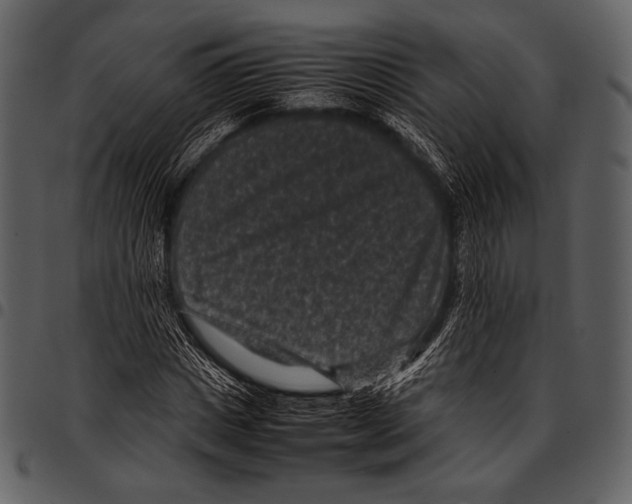 X0000097500825200803201550