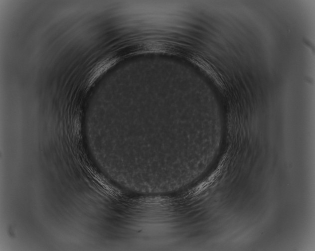 X0000097500826200803201550