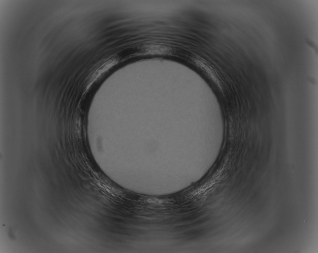 X0000097500827200803201550