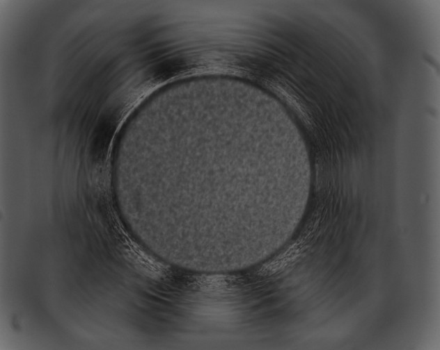 X0000097500828200803201550