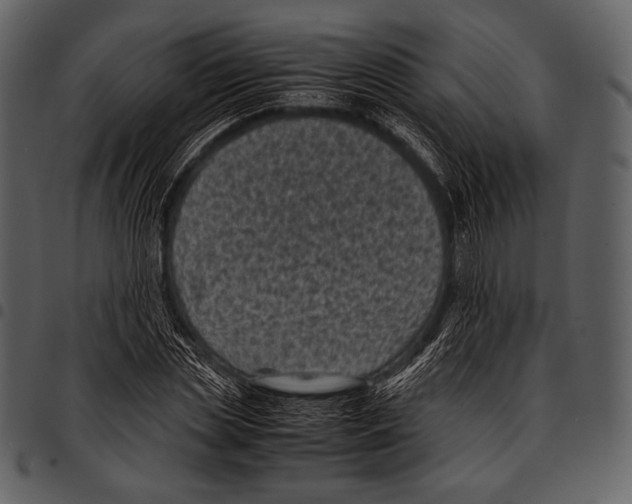 X0000097500829200803201550