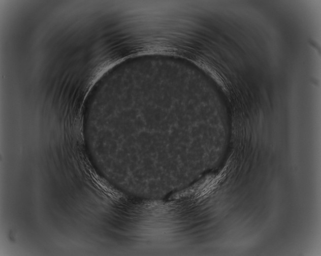 X0000097500830200803201550