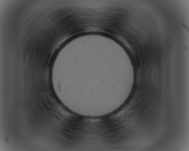 X0000097500831200803201550