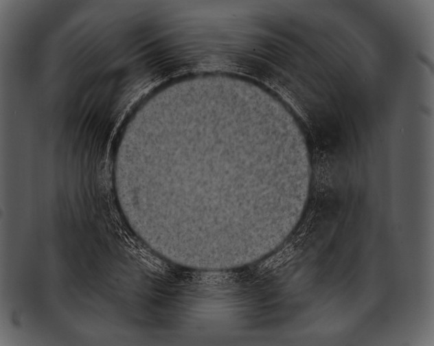 X0000097500832200803201550