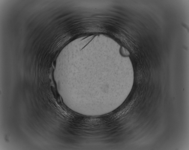 X0000097500833200803201550