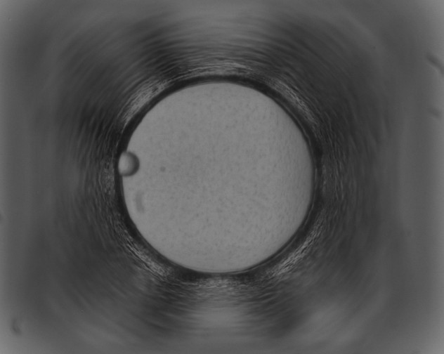 X0000097500834200803201550