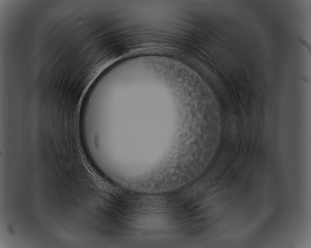 X0000097500836200803201550
