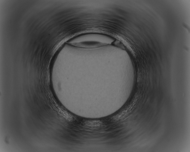 X0000097500837200803201550