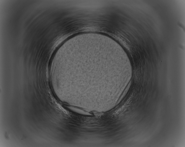 X0000097500839200803201550