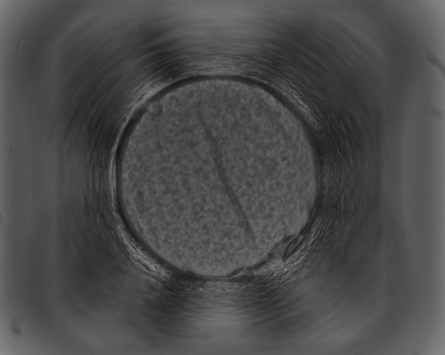 X0000097500840200803201550