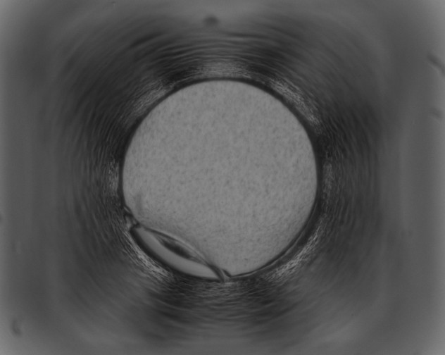 X0000097500841200803201550