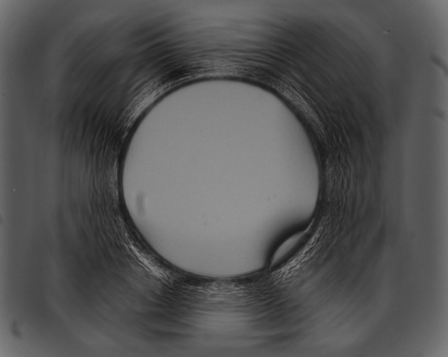 X0000097500842200803201550