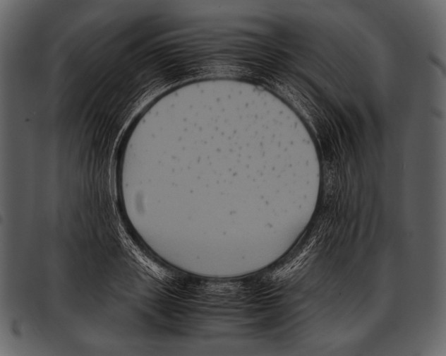 X0000097500843200803201550