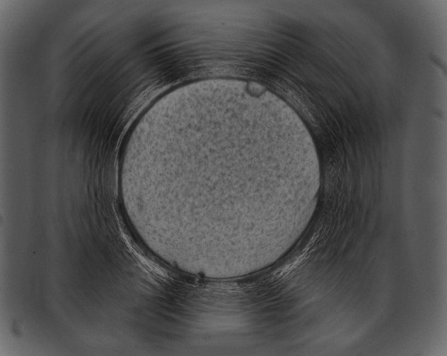 X0000097500844200803201550