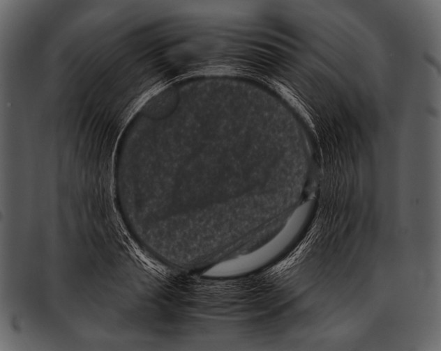 X0000097500845200803201550
