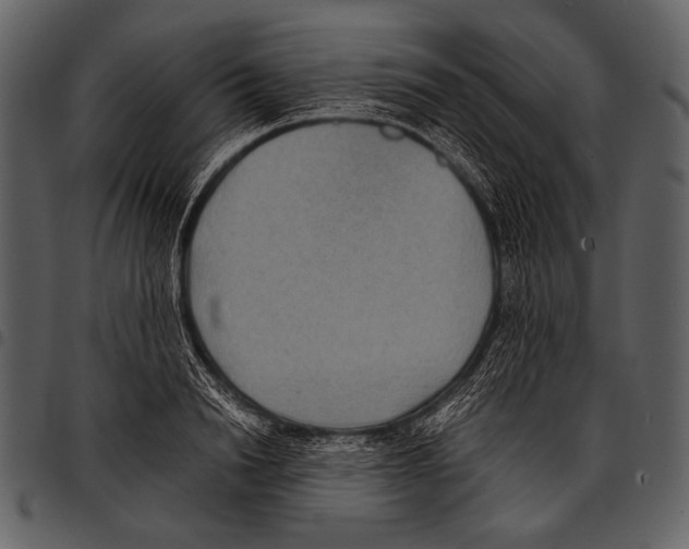 X0000097500846200803201550
