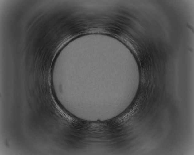 X0000097500847200803201550
