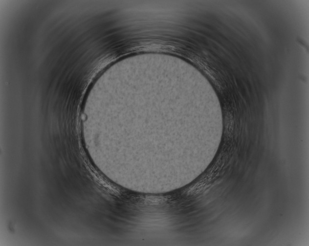 X0000097500848200803201550