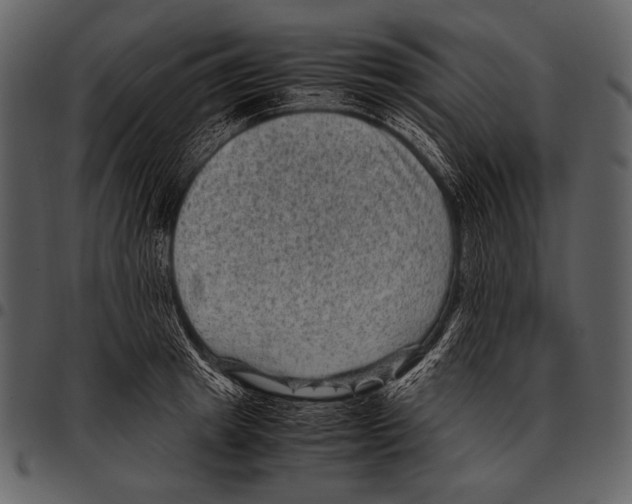 X0000097500849200803201550