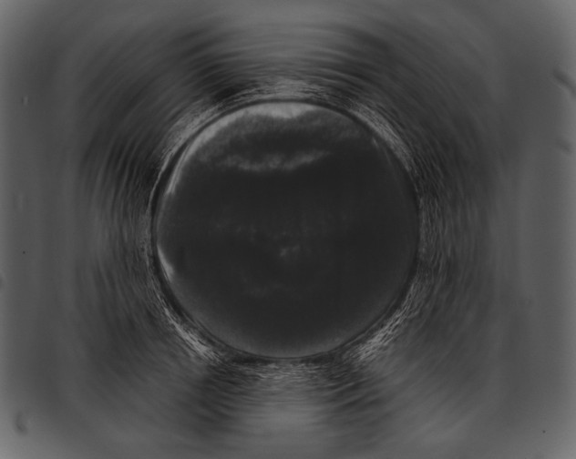 X0000097500850200803201550
