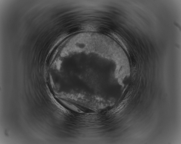 X0000097500851200803201550