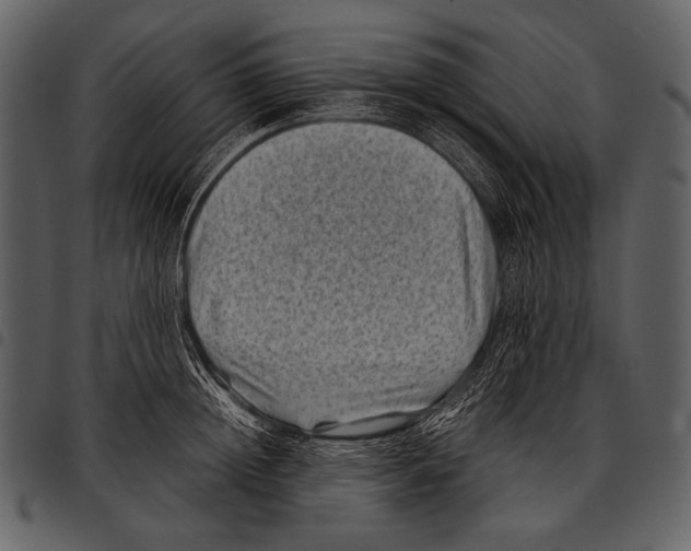 X0000097500852200803201550