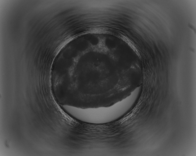 X0000097500853200803201551