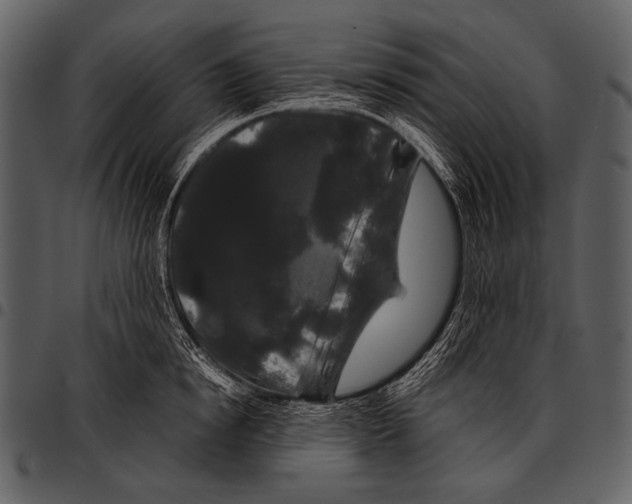 X0000097500854200803201551