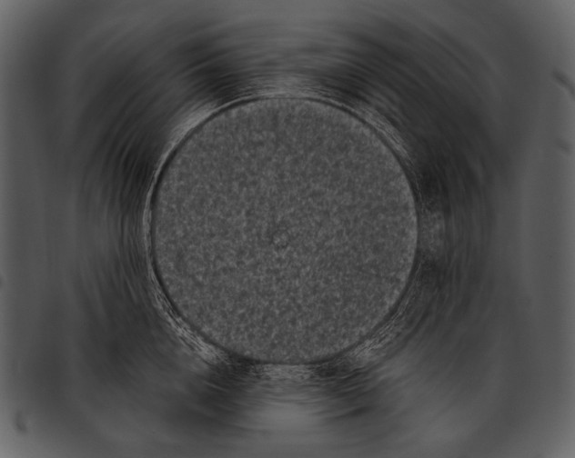 X0000097500856200803201551