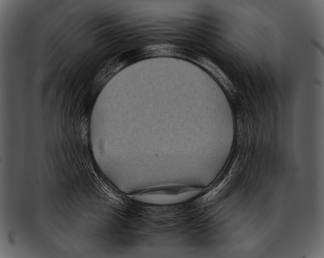 X0000097500857200803201551